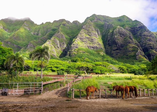 hawaii for families, first time to hawaii
