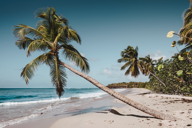 best college spring break spots
