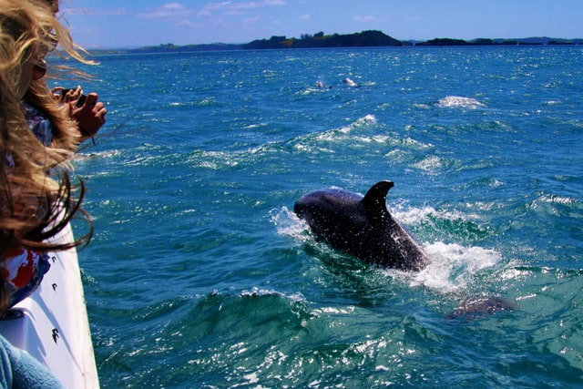 destin florida things to do