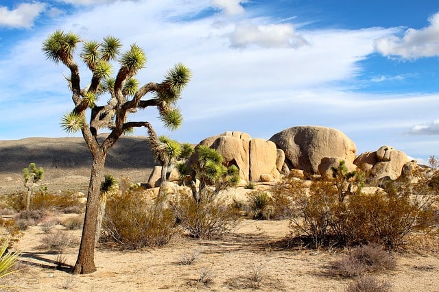 cheap places to visit in california