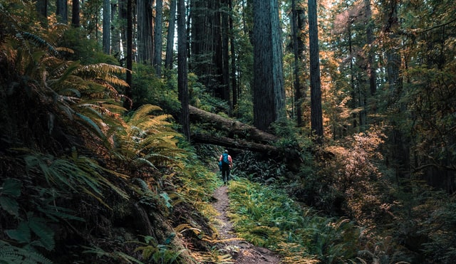 unique places to visit in California